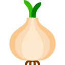Onion Icon