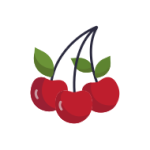 Cherry Icon