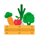 Vegetable Icon